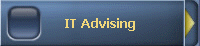 IT Advising