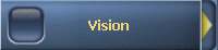Vision