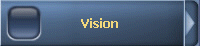 Vision